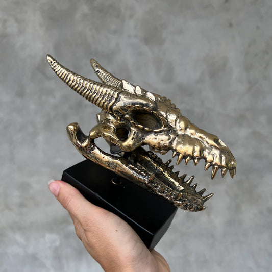 Bronzen Drakenschedel