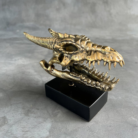 Bronzen Drakenschedel
