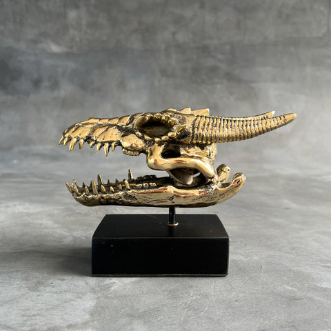 Bronzen Drakenschedel