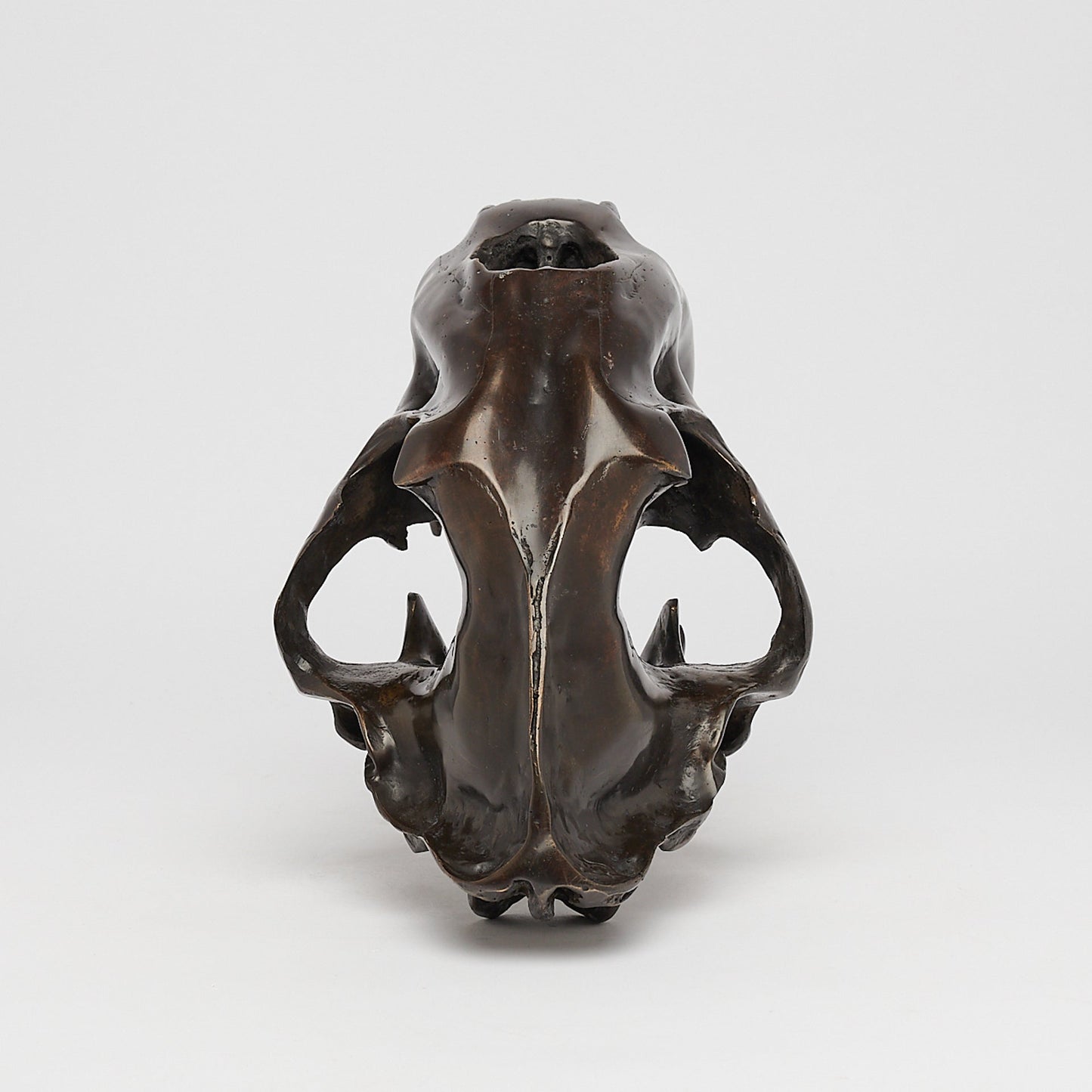 Bronzen Sabeltandtijger