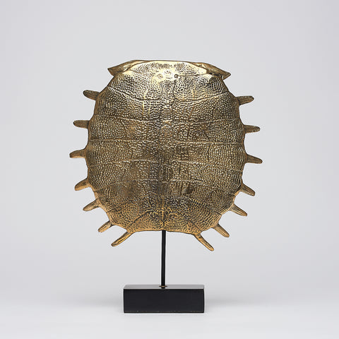 Opvallend Schildpadschild