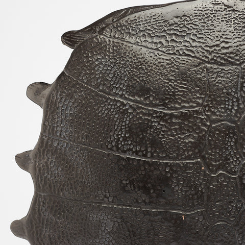 Opvallend Schildpadschild