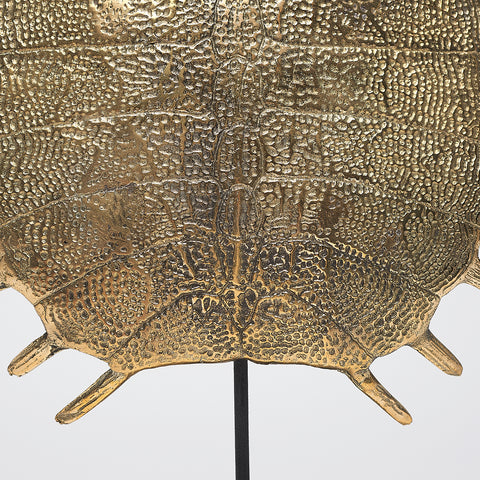 Opvallend Schildpadschild