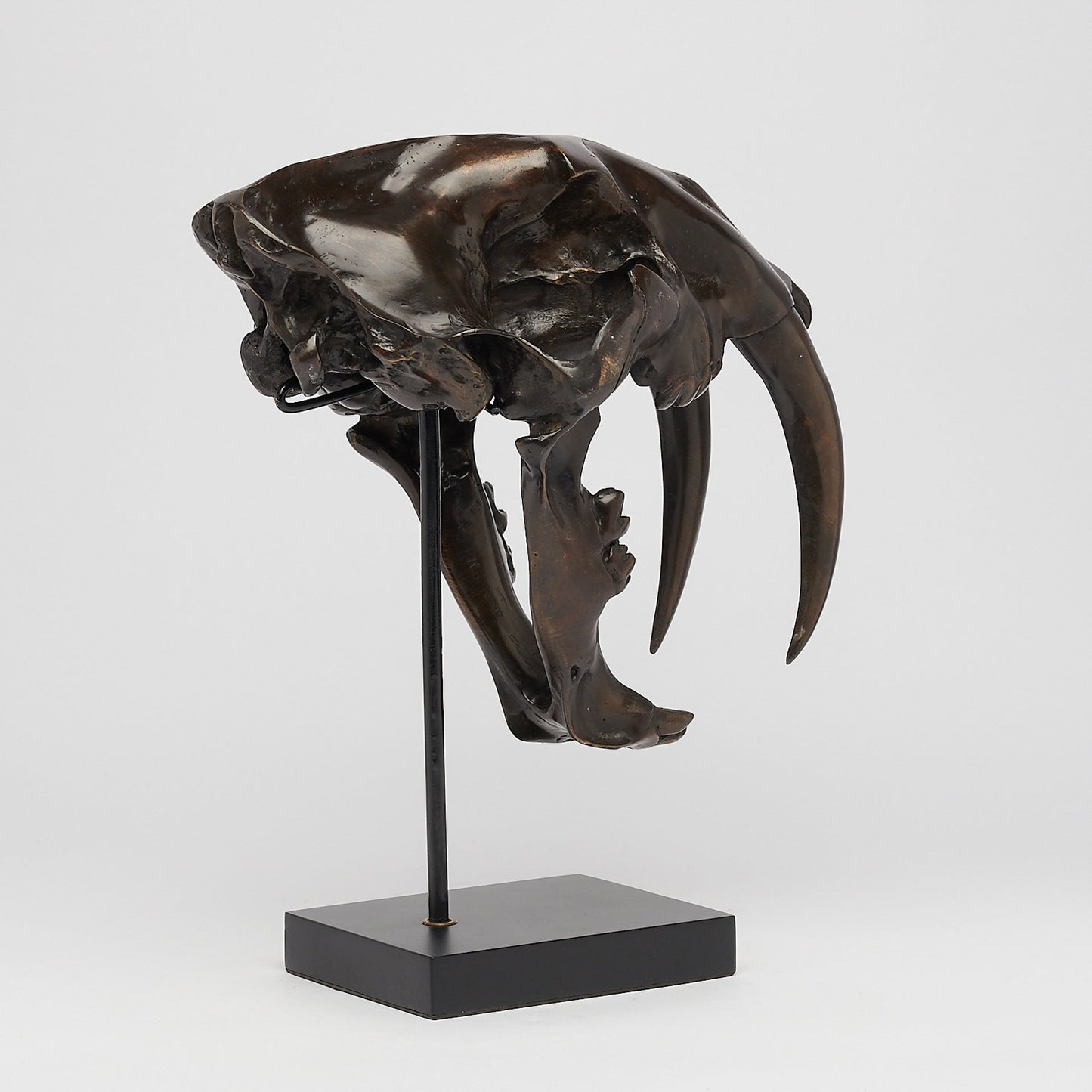Bronzen Sabeltandtijger
