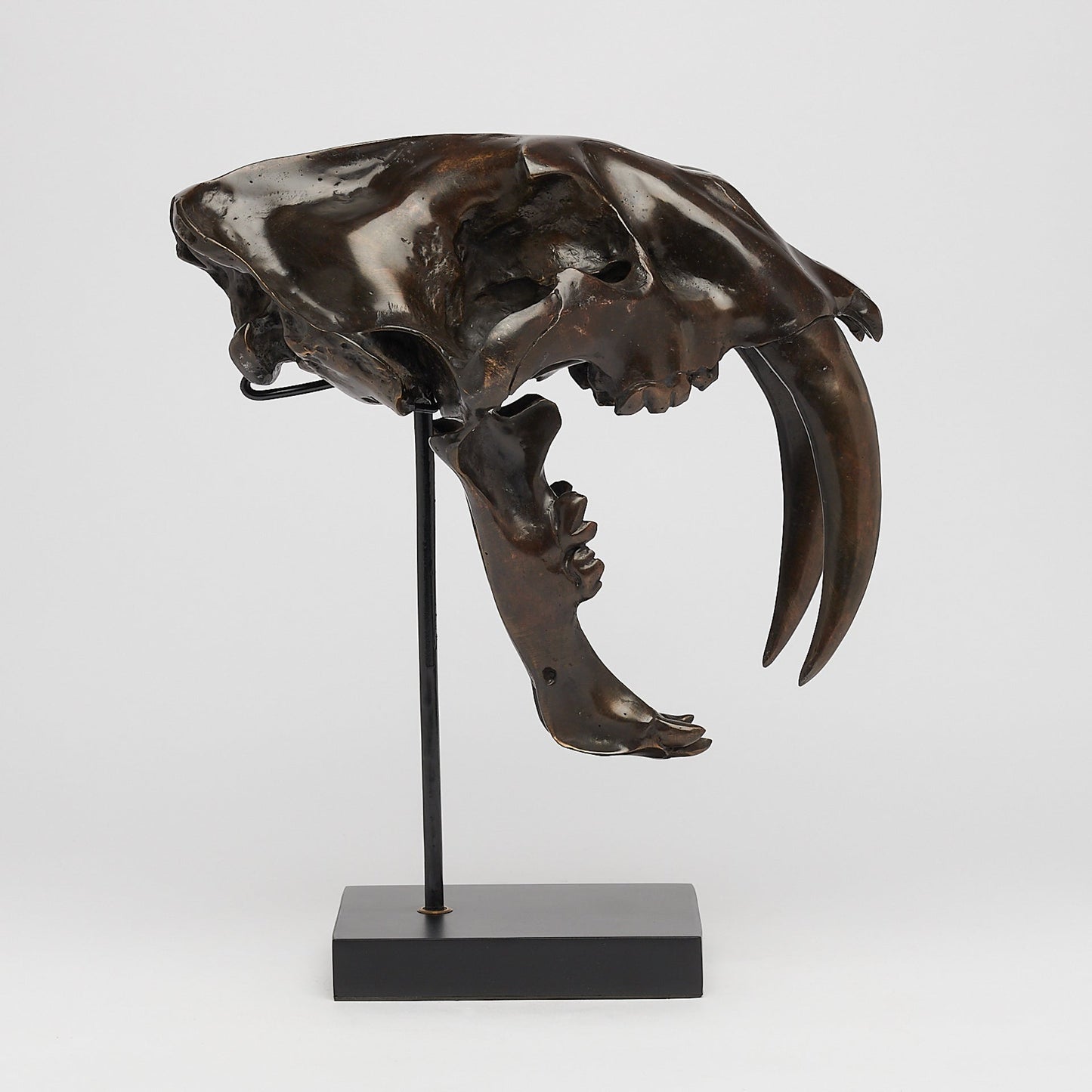 Bronzen Sabeltandtijger