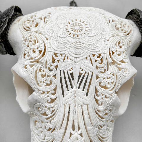 Celestial Bloom | Gegraveerde Buffelschedel