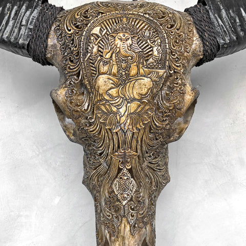 Schitterende Ganesha | Handgesneden Buffelschedel