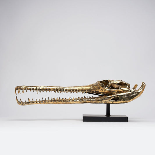 Grote Bronzen Gaviaal Schedel