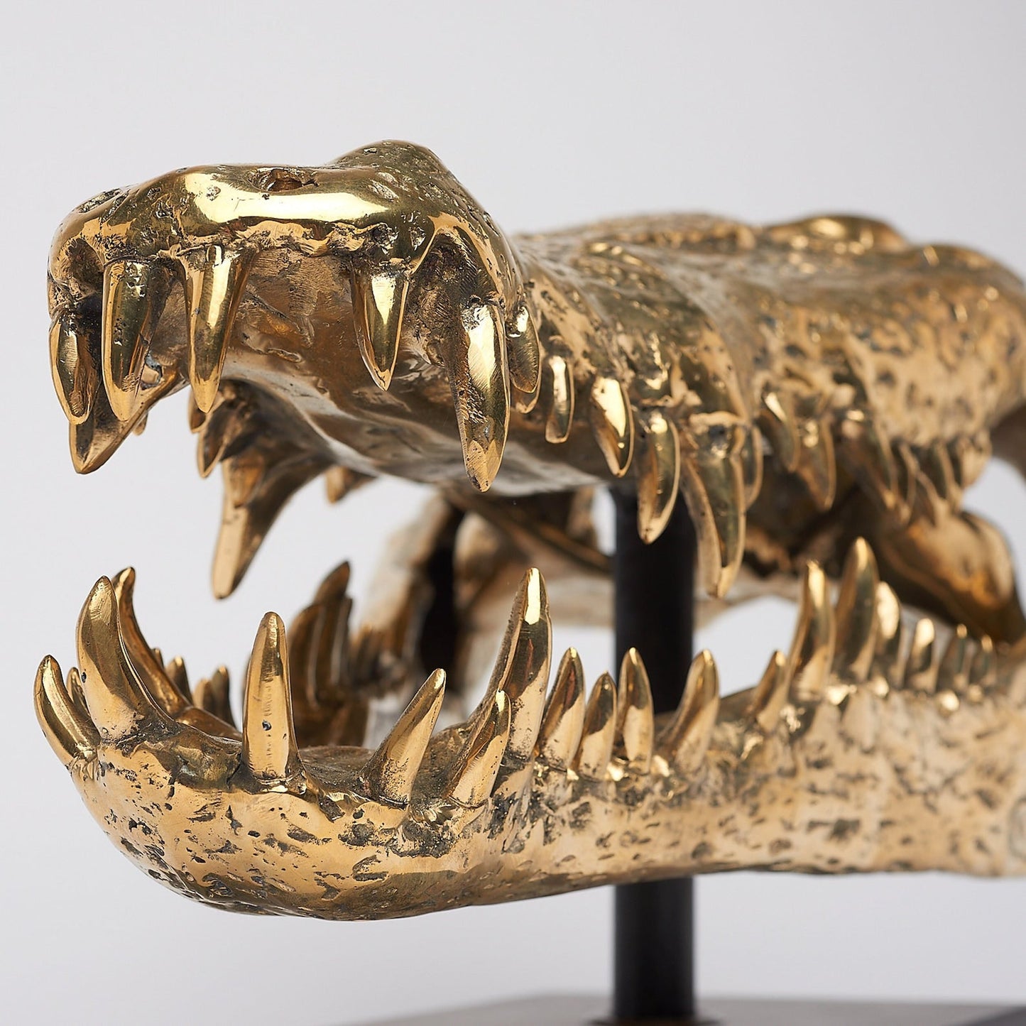 Levensechte Bronzen Krokodillenschedel