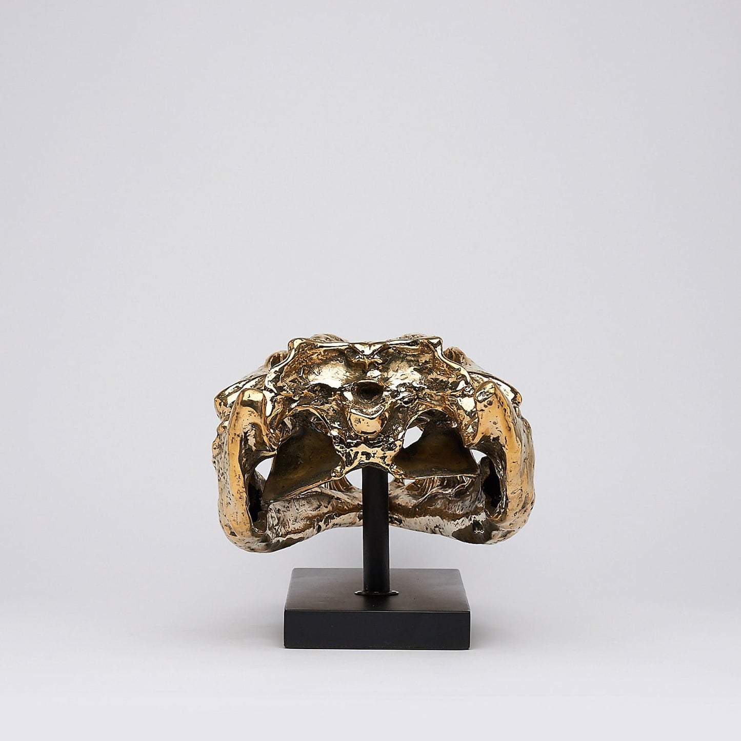 Levensechte Bronzen Krokodillenschedel