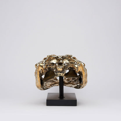 Levensechte Bronzen Krokodillenschedel
