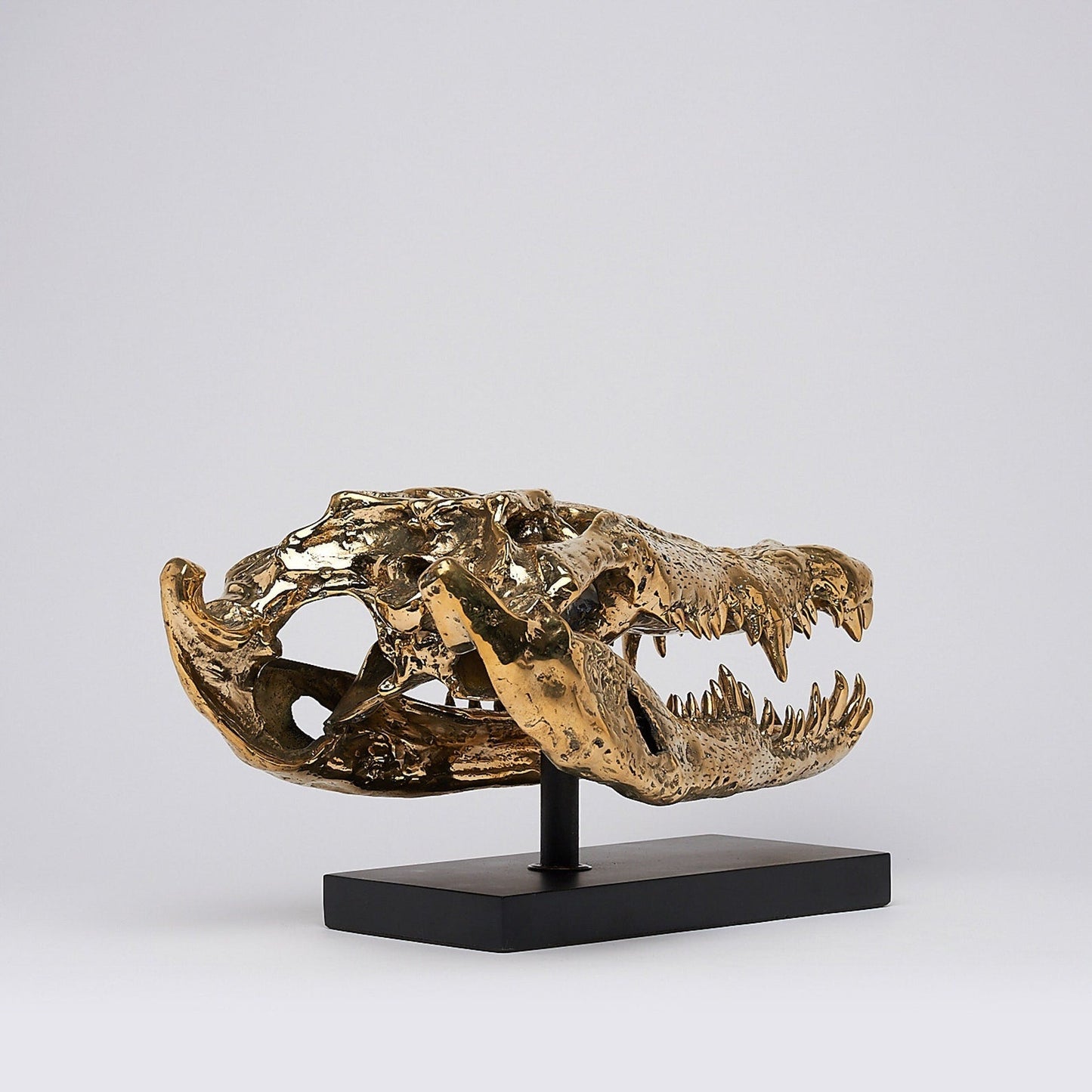 Levensechte Bronzen Krokodillenschedel