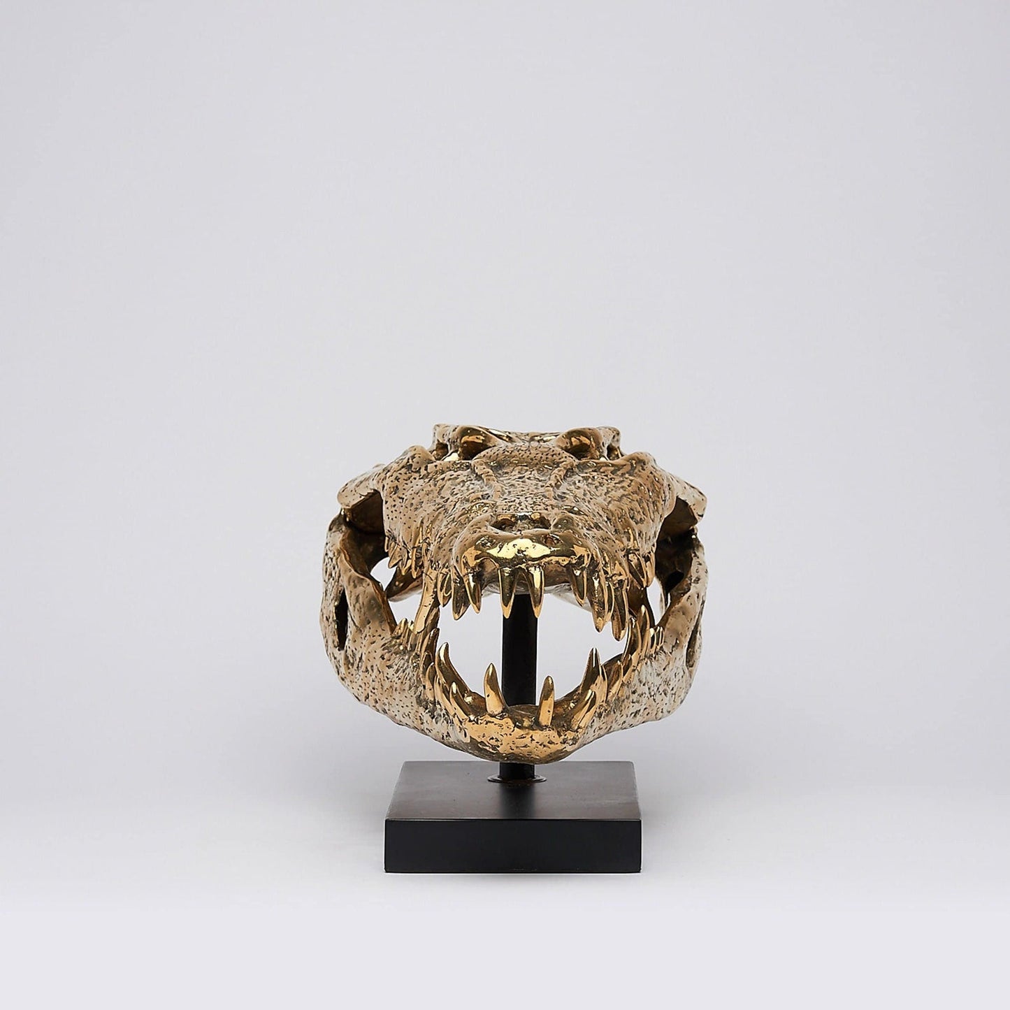 Levensechte Bronzen Krokodillenschedel